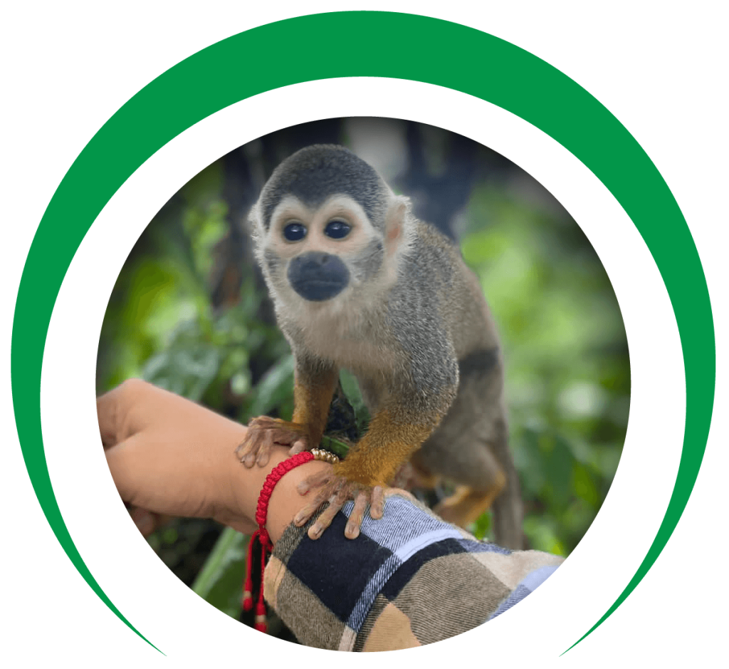 Aventura en Selva
